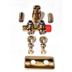 Termostatický ventil TWINS...